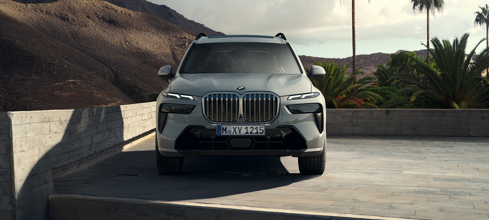 THE BMW X7